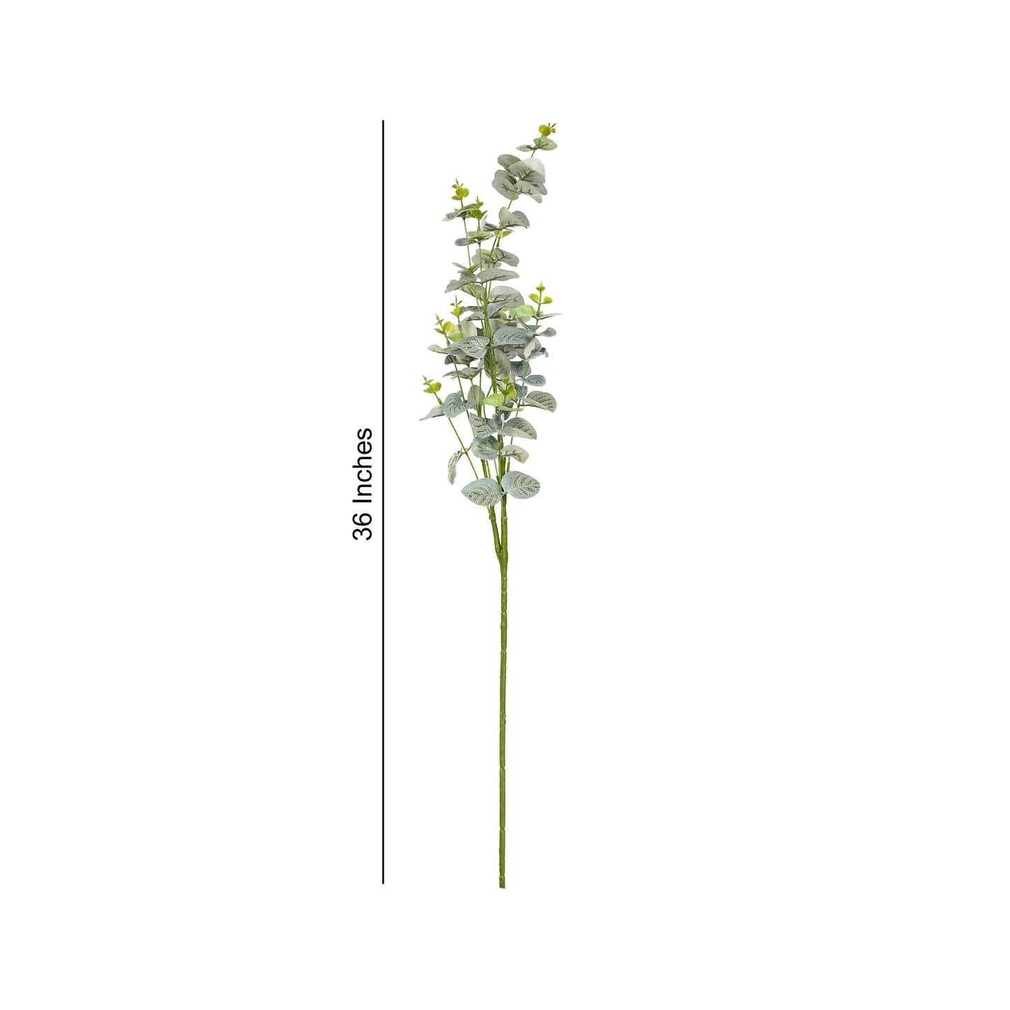 Flower Bunch - Eucalyptus Green Sticks