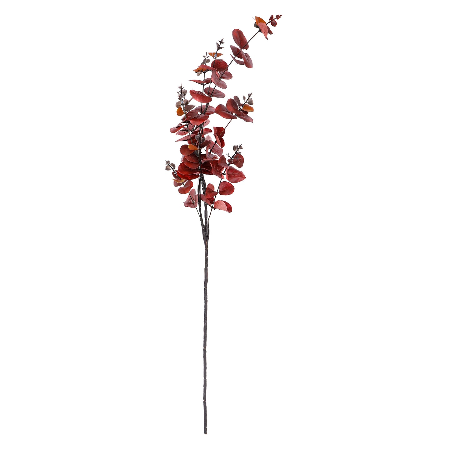Flower Bunch - Eucalyptus Red Sticks