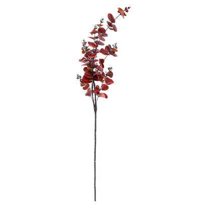 Flower Bunch - Eucalyptus Red Sticks