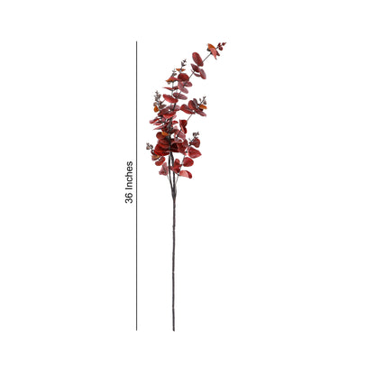 Flower Bunch - Eucalyptus Red Sticks