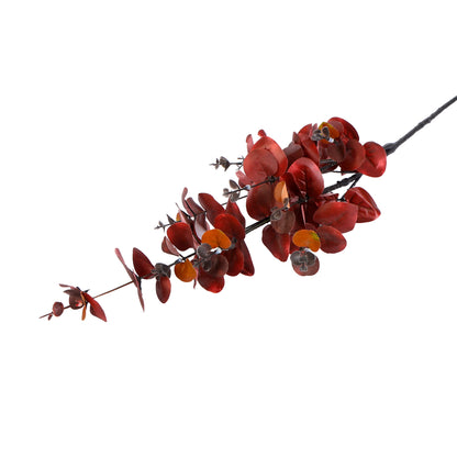 Flower Bunch - Eucalyptus Red Sticks