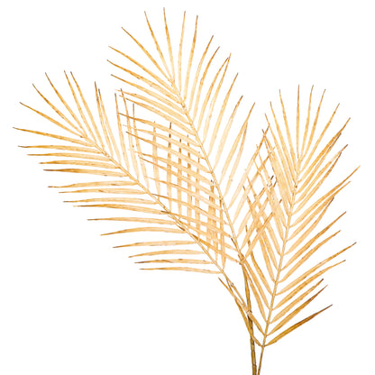 Flower Bunch - Big Fern Cream Sticks