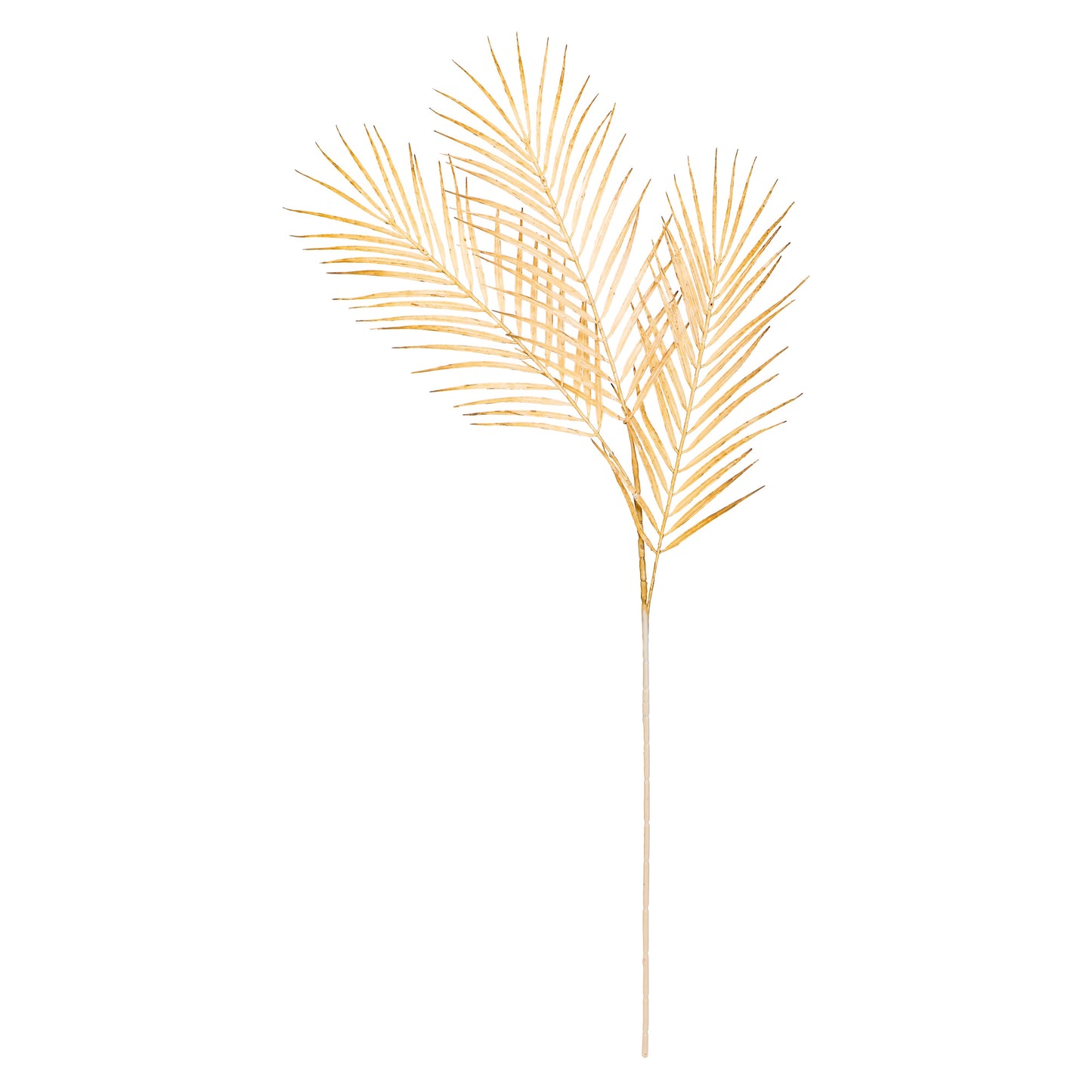 Flower Bunch - Big Fern Cream Sticks