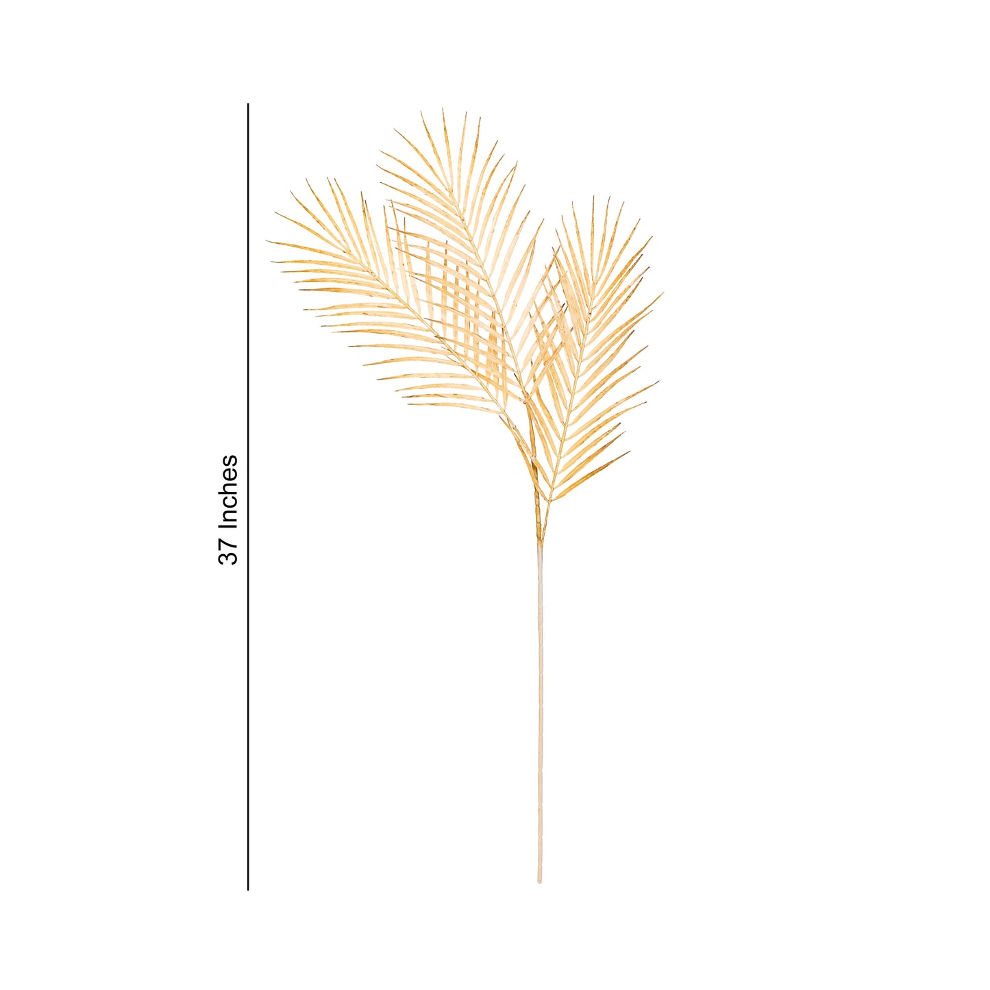 Flower Bunch - Big Fern Cream Sticks