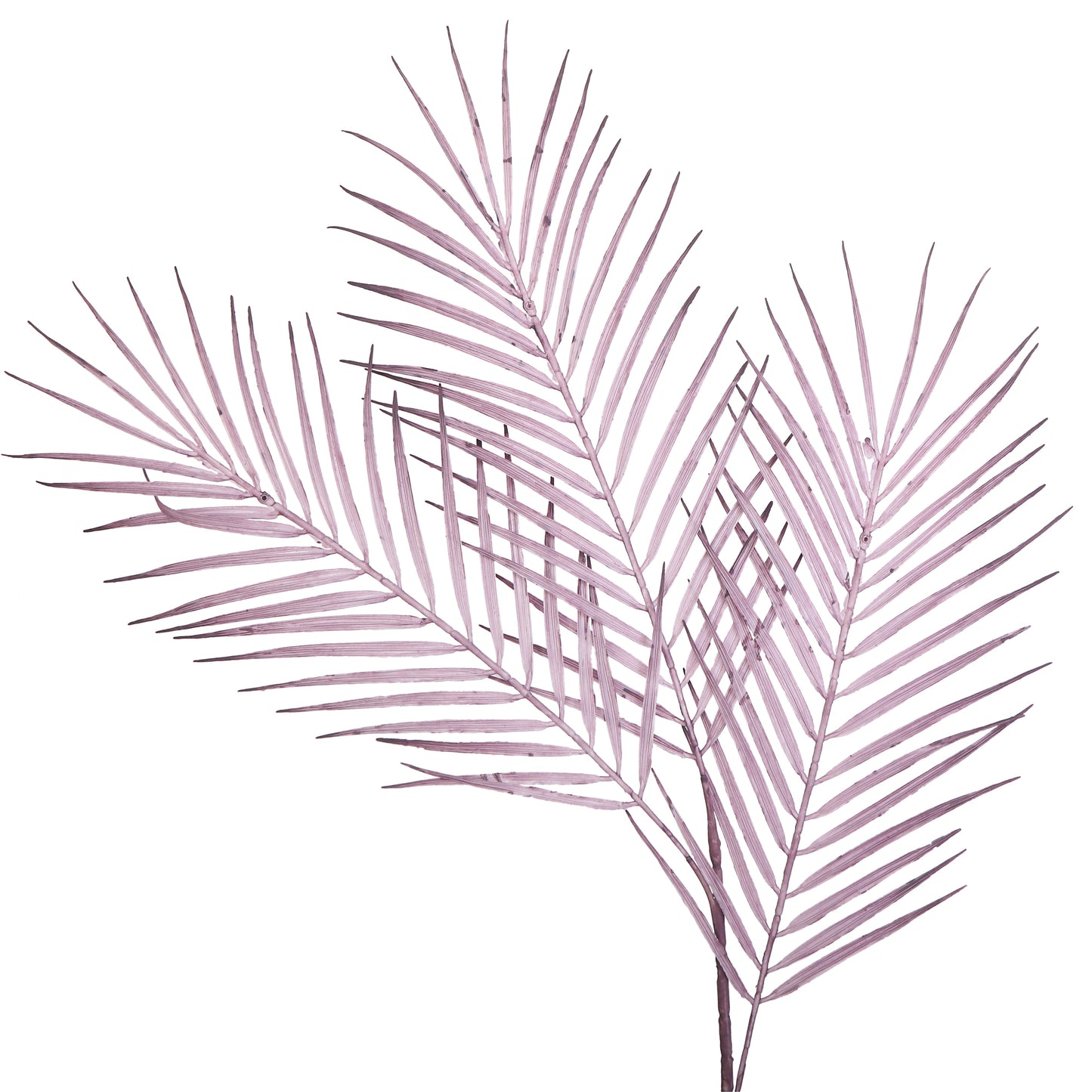 Flower Bunch - Big Fern Purple Sticks