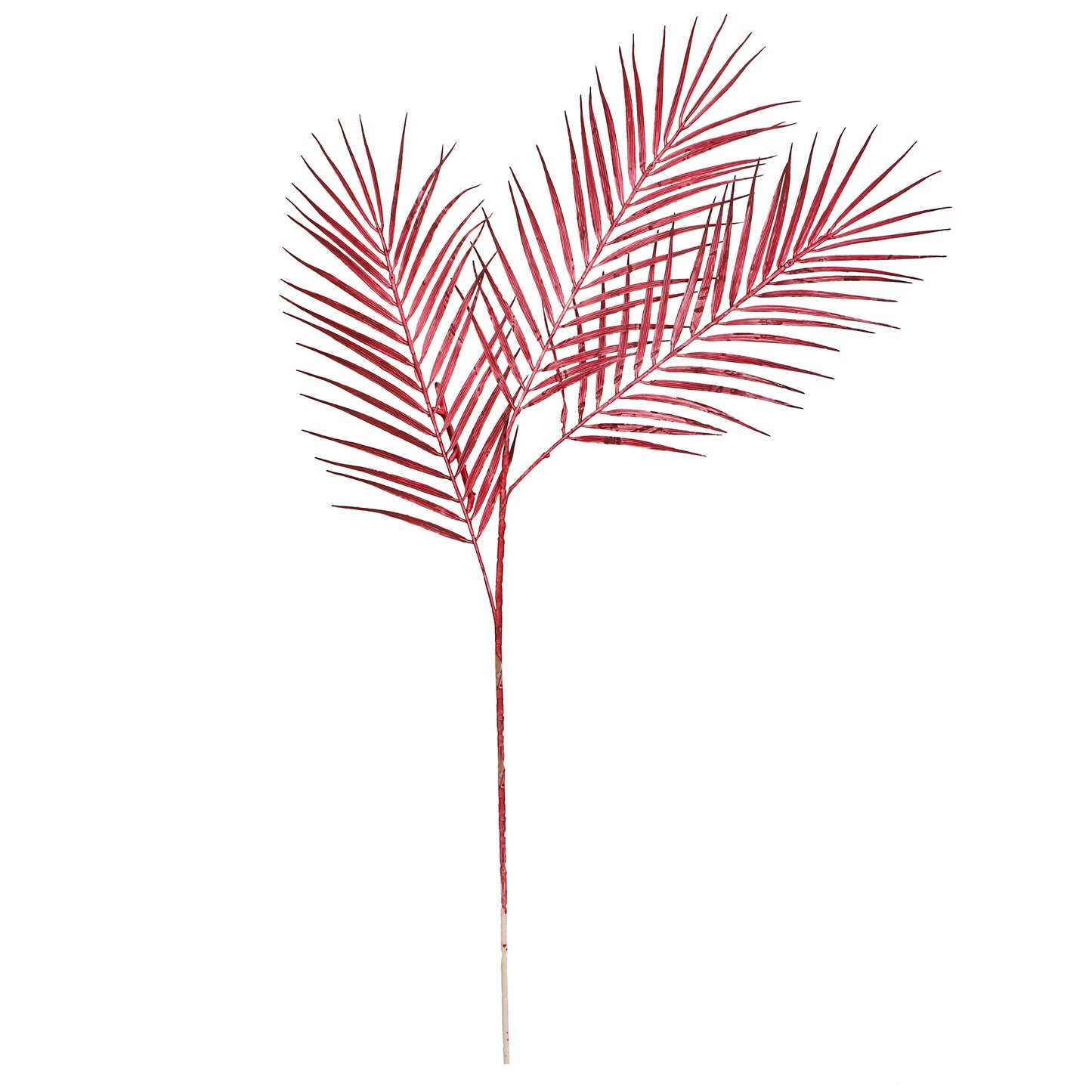 Flower Bunch - Big Fern Red Sticks