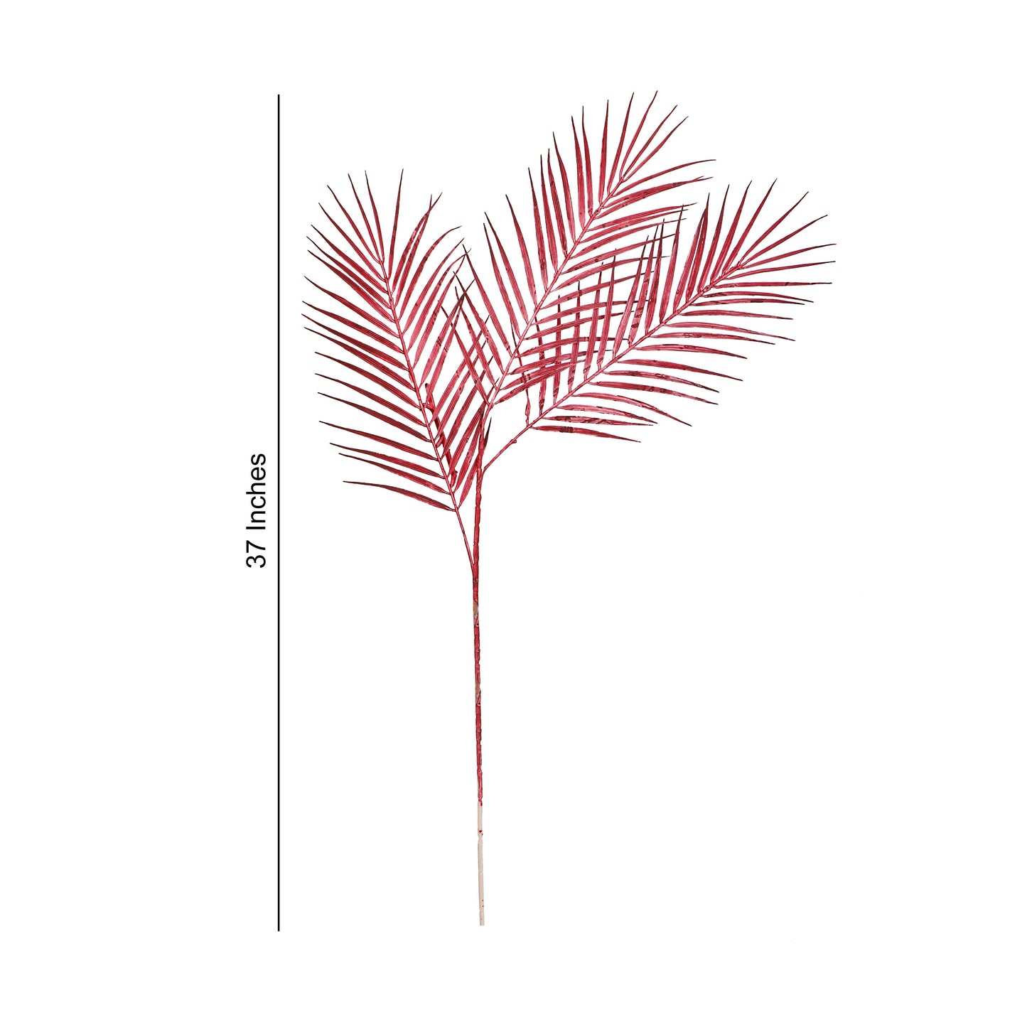 Flower Bunch - Big Fern Red Sticks