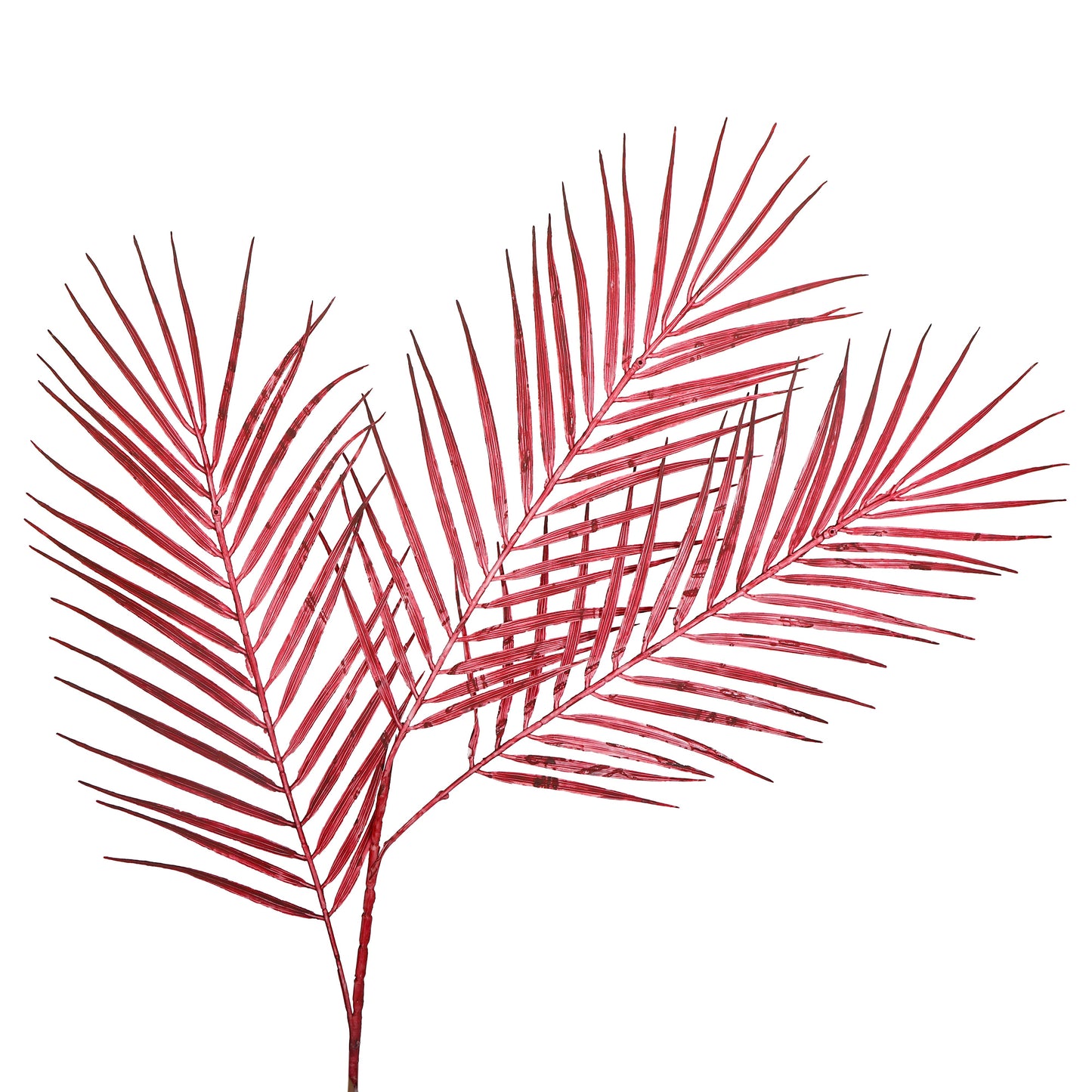 Flower Bunch - Big Fern Red Sticks