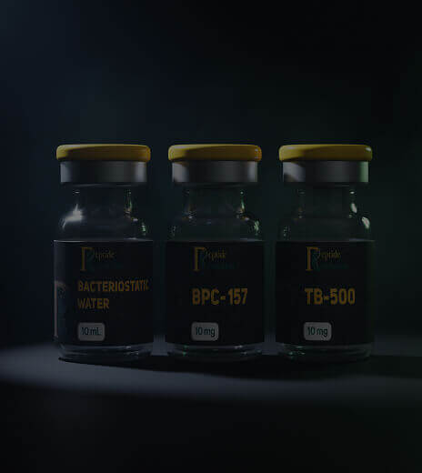 BRAIN PERFORMANCE & ENERGY